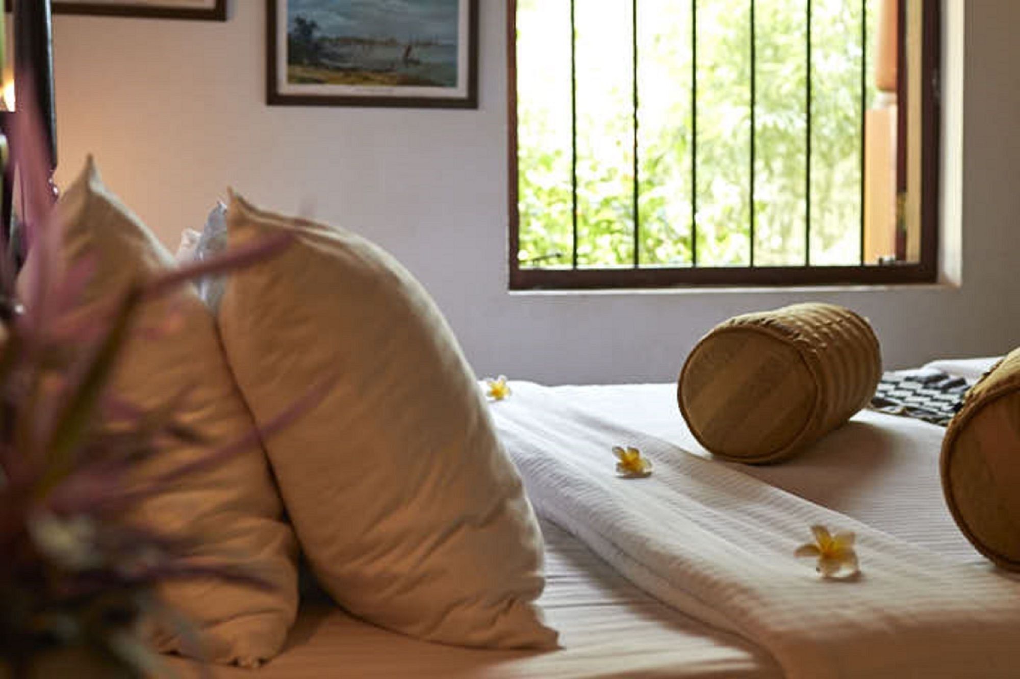 Villa Sunbird Negombo Ngoại thất bức ảnh